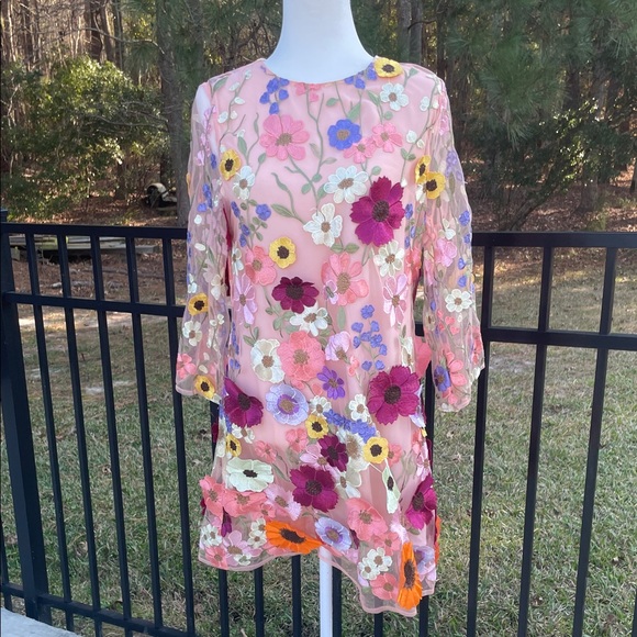 Storia Sheer Dress with Full Length Liner and Floral Embroidery - Picture 10 of 13